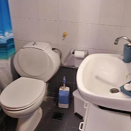 Apartment Olga For 3 Persons At Halkidiki *